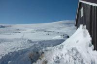 post-10401-0-21106300-1363769973_thumb.j