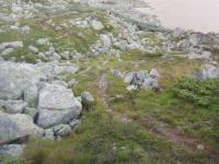 post-6671-0-25369200-1363713534_thumb.jp