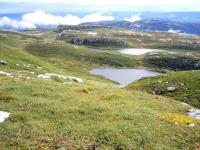 post-6671-0-34108000-1362762827_thumb.jp