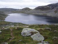 post-6671-0-58412200-1363713599_thumb.jp