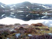 post-6671-0-89572100-1362762994_thumb.jp