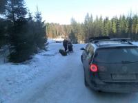 post-9803-0-01253300-1363127105_thumb.jp