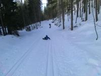 post-9803-0-16254700-1363127035_thumb.jp