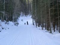 post-9803-0-38275700-1363127023_thumb.jp