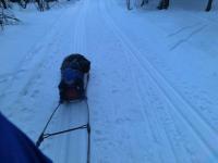 post-9803-0-44304400-1363127053_thumb.jp