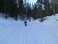 post-9803-0-77572800-1363127040_thumb.jp