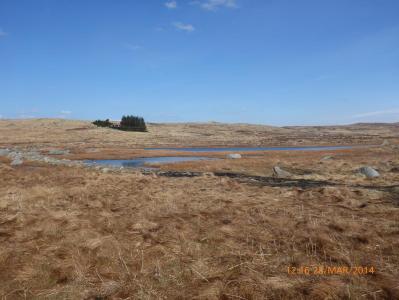 post-10556-0-77689000-1396024801_thumb.j