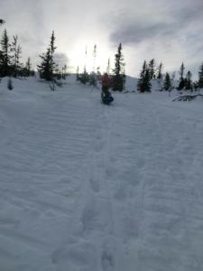 post-11911-0-07996400-1395000679_thumb.j