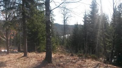 post-11911-0-08340500-1396182013_thumb.j