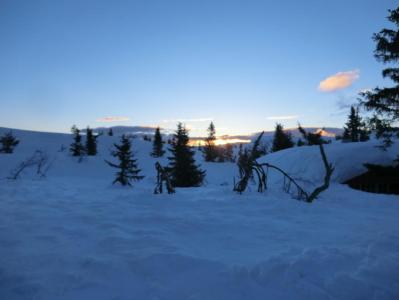 post-11911-0-25608700-1395000759_thumb.j