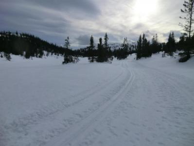 post-11911-0-26351500-1395000809_thumb.j