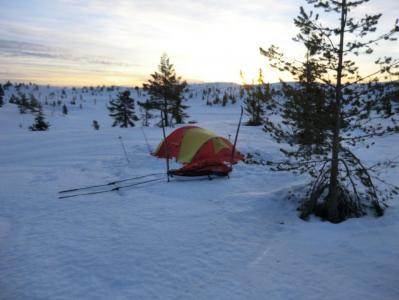 post-11911-0-78551500-1395000720_thumb.j