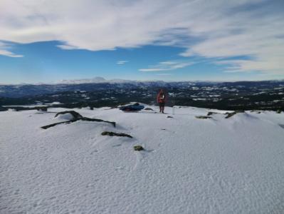 post-11911-0-86055600-1395047881_thumb.j