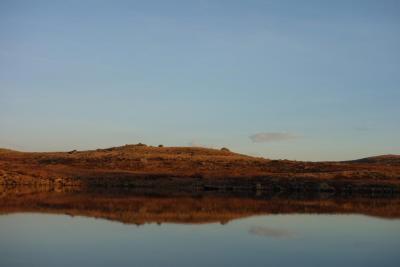 post-13043-0-68360500-1394570632_thumb.j