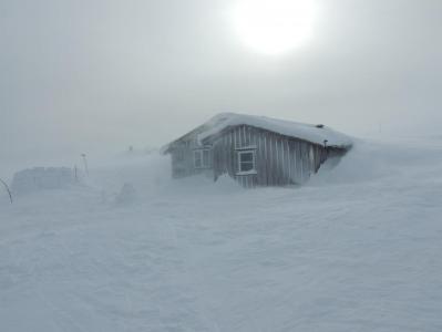 post-1310-0-26205800-1395043991_thumb.jp