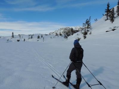 post-1310-0-31342600-1395043828_thumb.jp