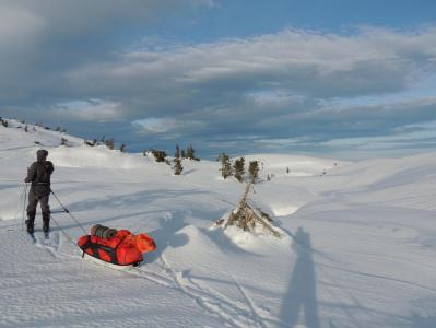 post-1310-0-49781800-1395043089_thumb.jp