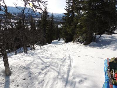 post-1310-0-65874900-1395043884_thumb.jp