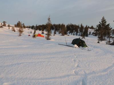 post-1310-0-91508400-1395043191_thumb.jp