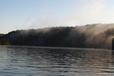 post-14401-0-08648800-1395863617_thumb.j