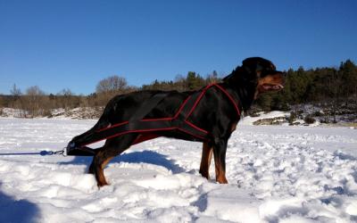 post-14425-0-86256400-1396284246_thumb.j