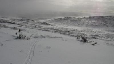 post-3730-0-04938700-1395161286_thumb.jp