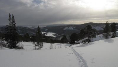 post-3730-0-79129300-1395161234_thumb.jp