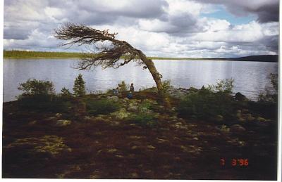 post-4016-0-46240000-1394461247_thumb.jp