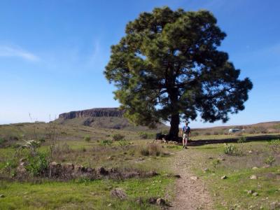 post-4444-0-02261100-1394213298_thumb.jp