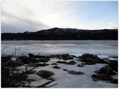 post-4444-0-48790100-1393869772_thumb.jp