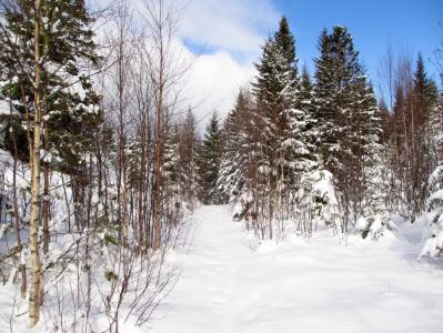 post-4444-0-59802100-1394974714_thumb.jp