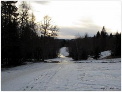 post-4444-0-94849300-1393869763_thumb.jp