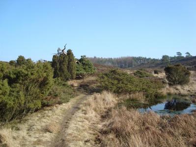 post-5095-0-03871600-1394568779_thumb.jp