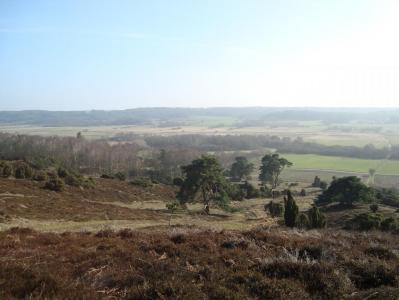 post-5095-0-18783800-1394568747_thumb.jp