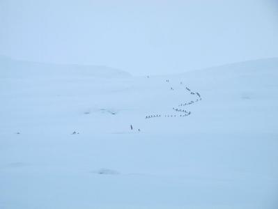 post-5481-0-16390400-1394635996_thumb.jp