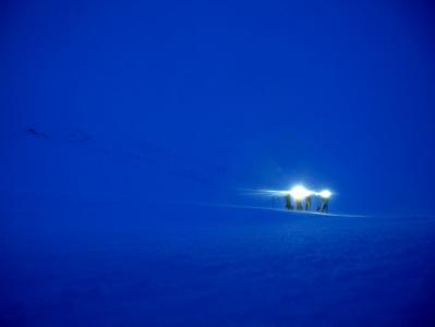 post-5481-0-58424900-1394636000_thumb.jp