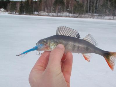 post-6295-0-76159400-1395869269_thumb.jp