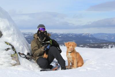 post-8184-0-01660700-1394552736_thumb.jp