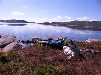 post-8832-0-33852200-1394980652_thumb.jp