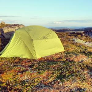 post-9039-0-54226300-1395658807_thumb.jp