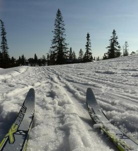 post-9055-0-74953600-1394391046_thumb.jp