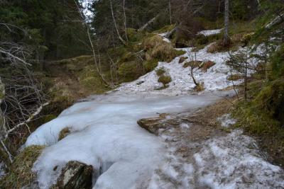 post-9060-0-04626900-1393869981_thumb.jp