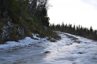 post-9060-0-06854600-1393869762_thumb.jp