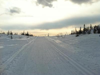 post-9060-0-25943200-1393682312_thumb.jp