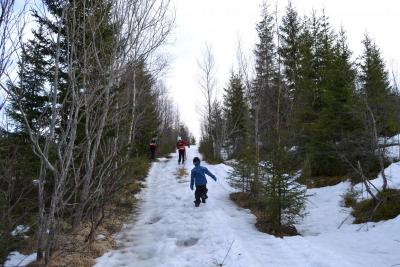 post-9060-0-77278300-1393869913_thumb.jp