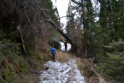 post-9060-0-77518300-1393869999_thumb.jp