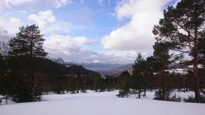 post-10858-0-02686500-1425831678_thumb.j