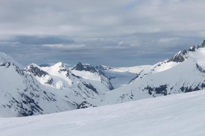 post-10858-0-03975600-1427536535_thumb.j