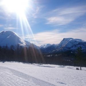 post-10858-0-24085400-1426108997_thumb.j