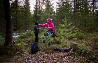 post-12278-0-10962300-1426449662_thumb.j